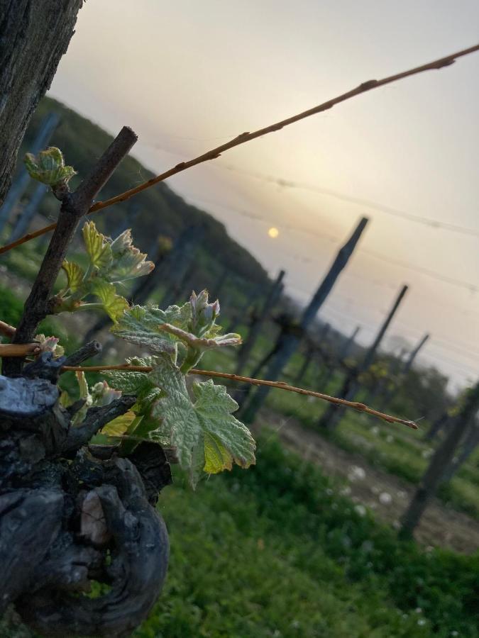 Domaine Labouroume Hotel ซาลีส์-เดอ-เบอาร์น ภายนอก รูปภาพ